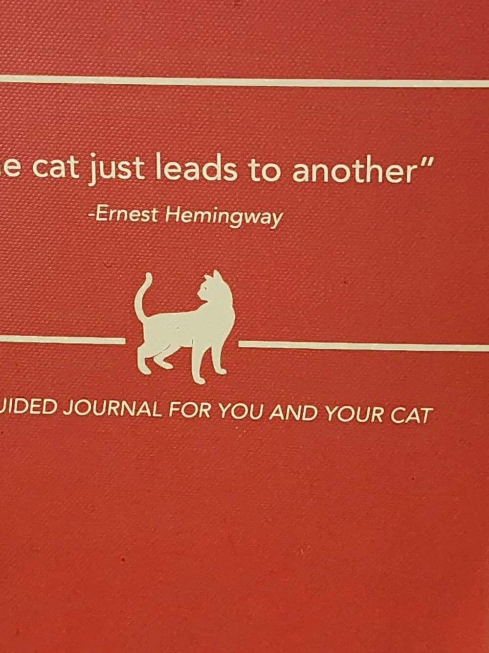 Molly & Rex A Guided Journal for You and Your Cat 208pg Softcover Daily Journal